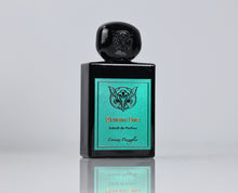 Load image into Gallery viewer, Lorenzo Pazzaglia Dream Sea Sample