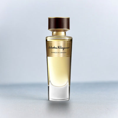 Salvatore Ferragamo Tuscan Creations BIANCO DI CARRARA Sample