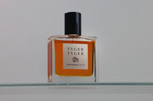 Load image into Gallery viewer, Francesca Bianchi Tyger Tyger Sample
