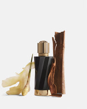 Load image into Gallery viewer, Versace Atelier Gingembre Petillant
